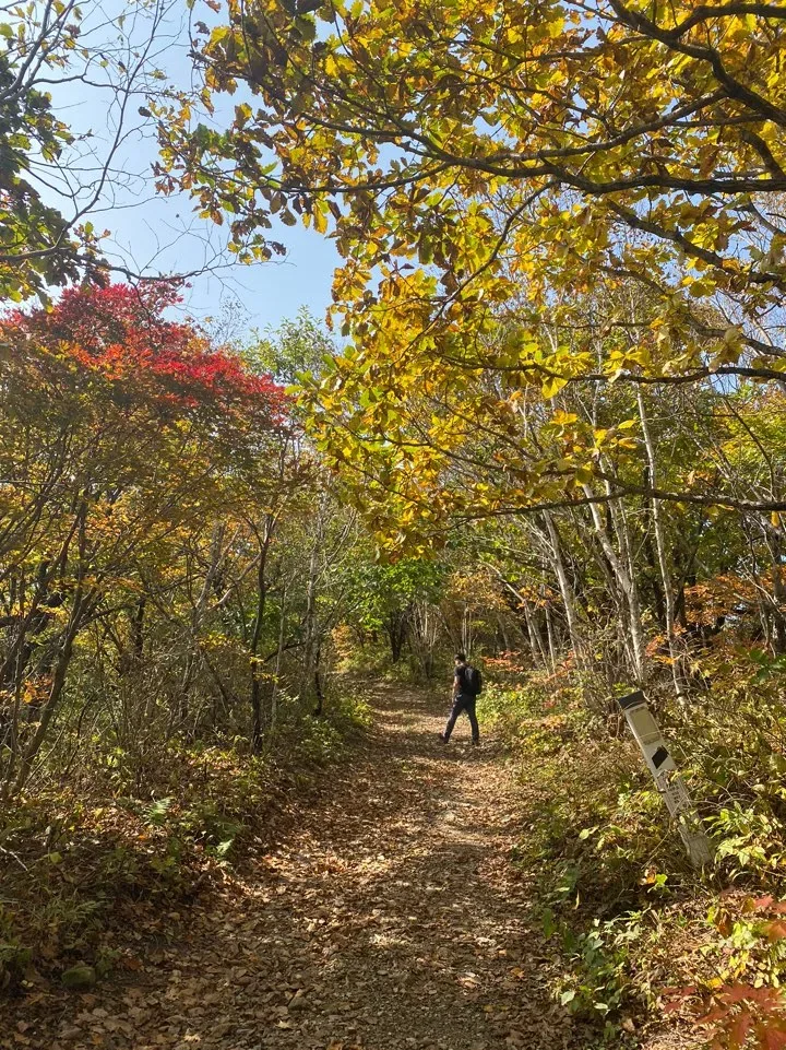 Bangtae Mountains in Autumn